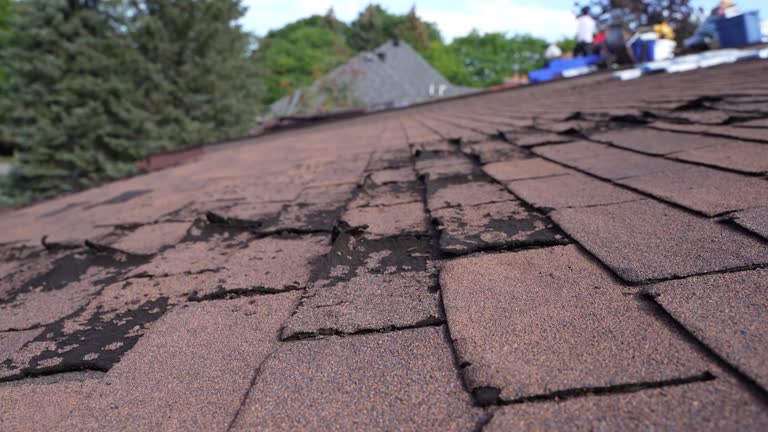 Best Rubber Roofing (EPDM, TPO)  in Orrville, OH