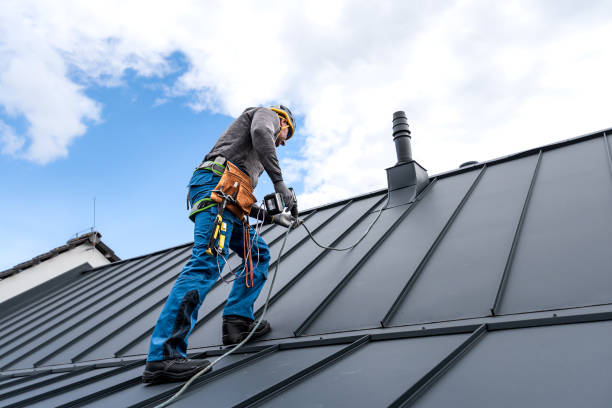 Best Skylight Installation and Repair  in Orrville, OH
